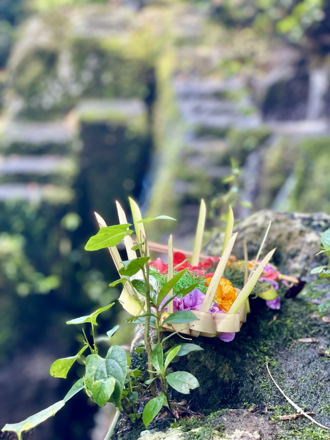 A traditional Balinese offering