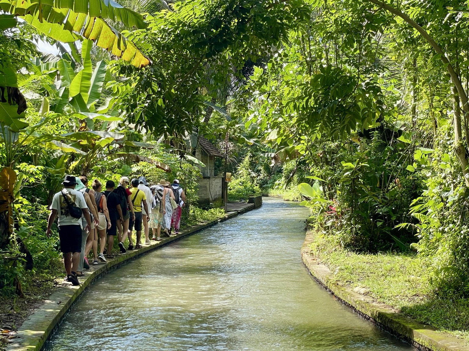 Participants on a Secret Trek through Bali’s landscapes