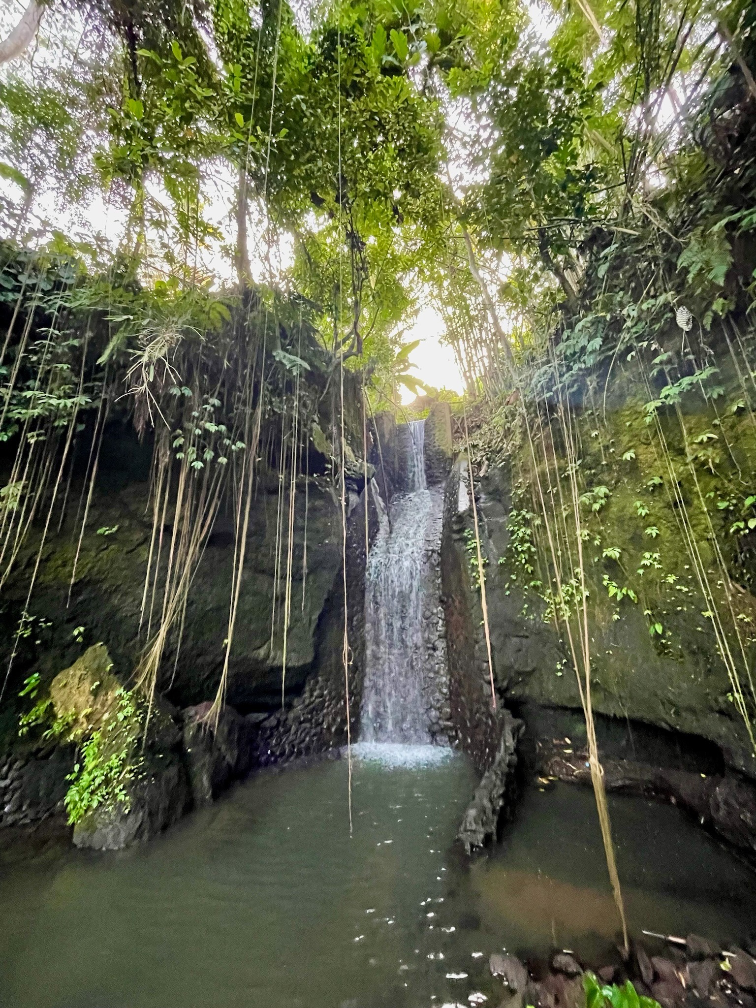 A tropical waterfall in Bali