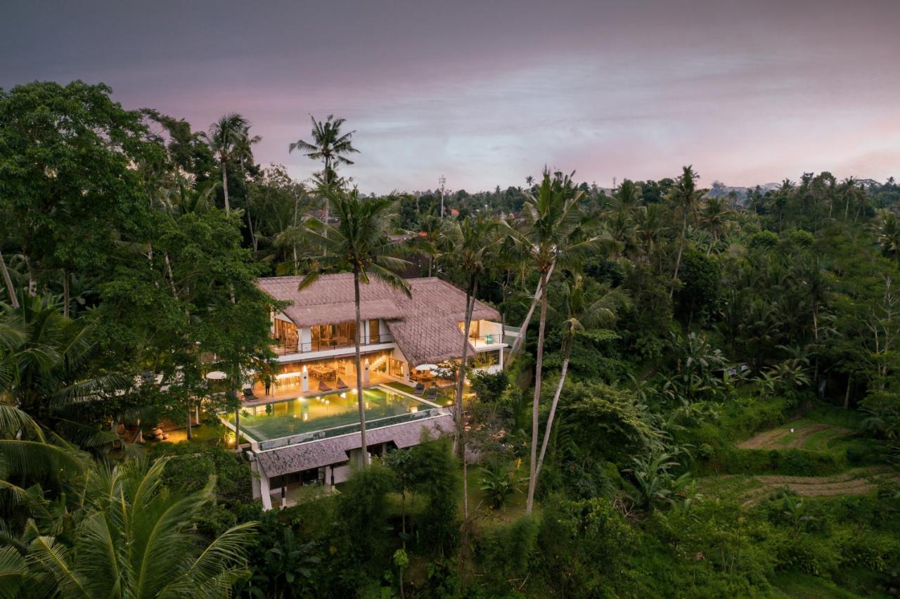 The villa and its pool surrounded by tropical greenery